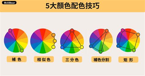 色彩學配色原則|設計色彩學系列｜你一定要知道的5大配色手法：補色 